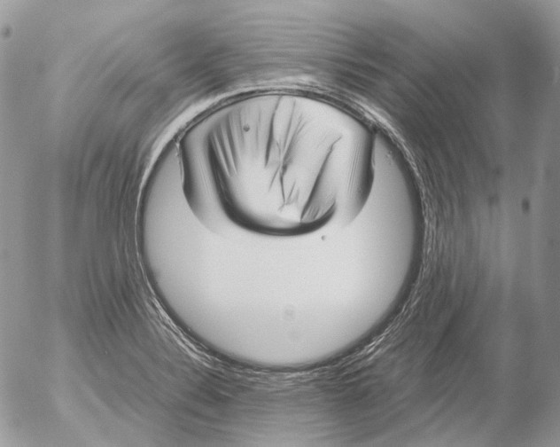 X0000052631324200507292230