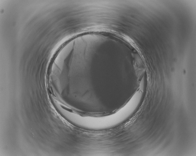 X0000052631334200507292230