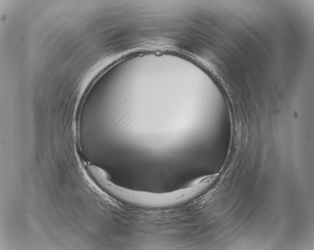 X0000052631335200507292230