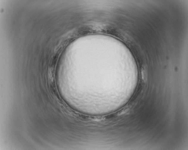 X0000052631347200507292229