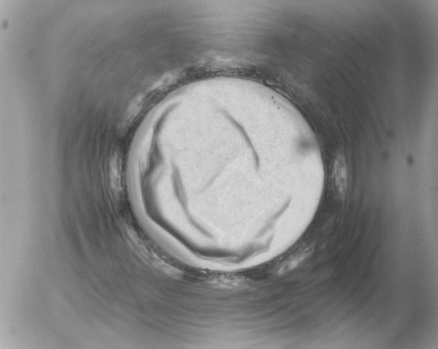 X0000052631348200507292229