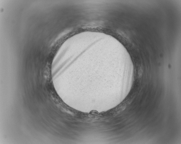 X0000052631350200507292229