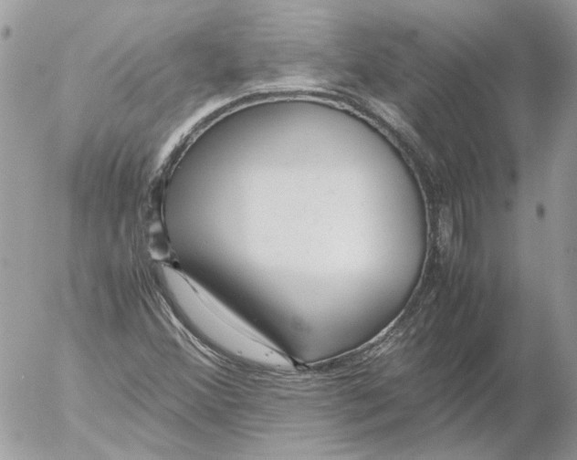 X0000052631356200507292229