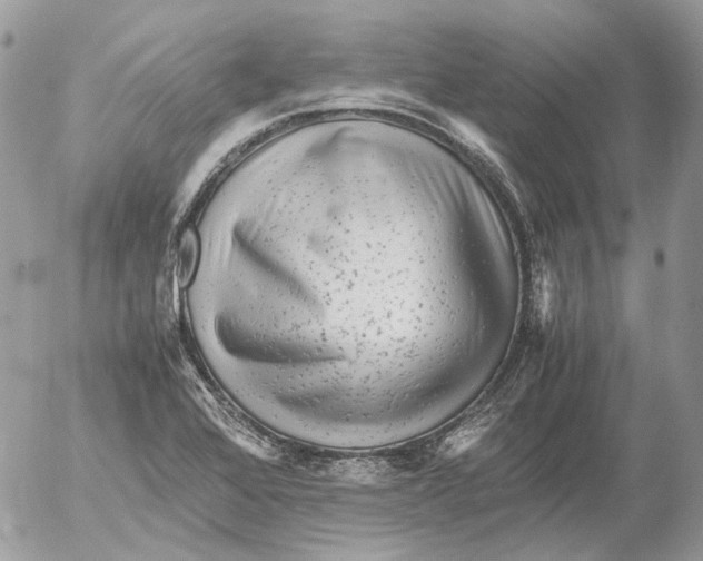 X0000052631368200507292229