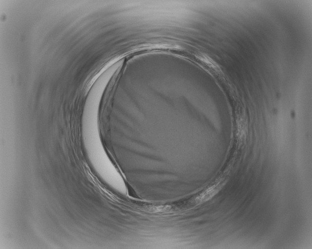 X0000052631369200507292229