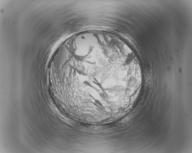 X0000052631371200507292229