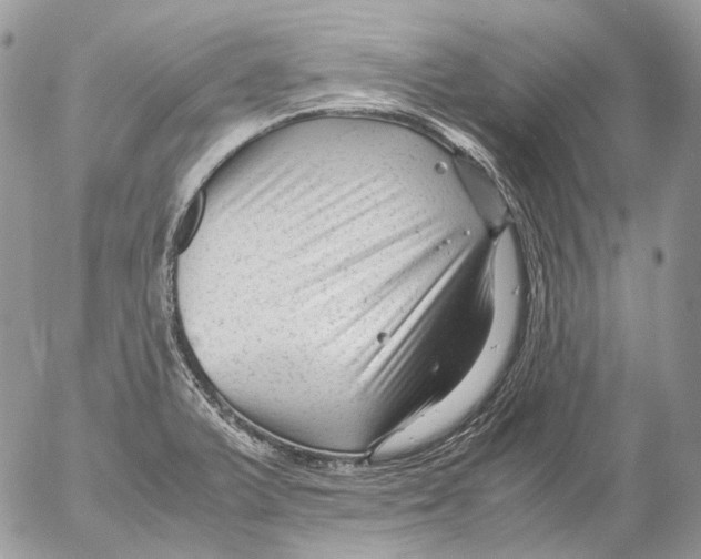 X0000052631375200507292229