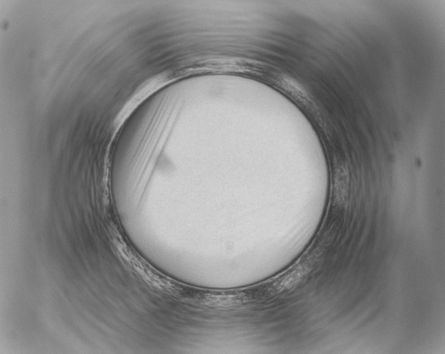 X0000052631378200507292229