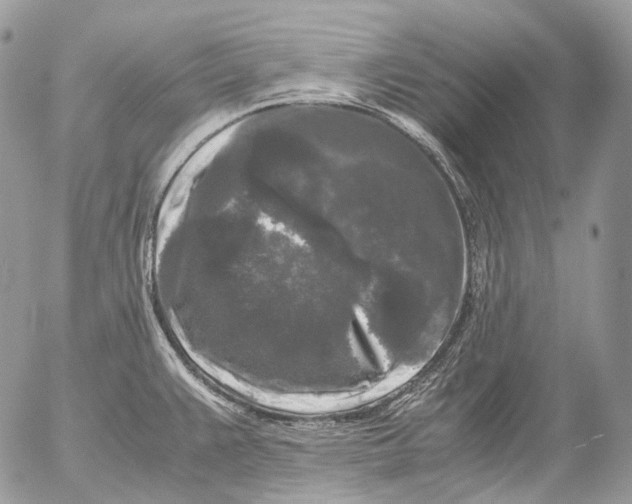 X0000052631383200507292229