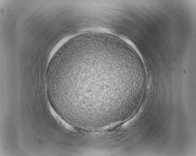 X0000052631389200507292229