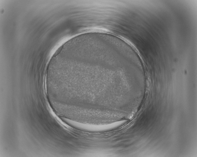 X0000052631391200507292229