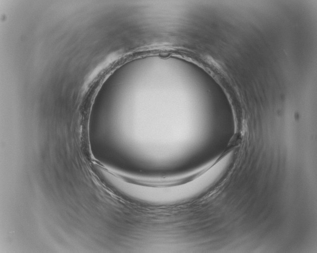 X0000052631406200507292228