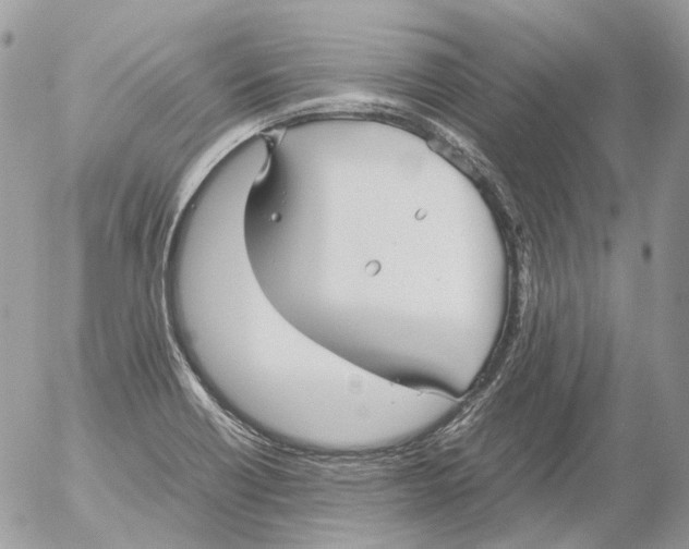X0000052631418200507292228