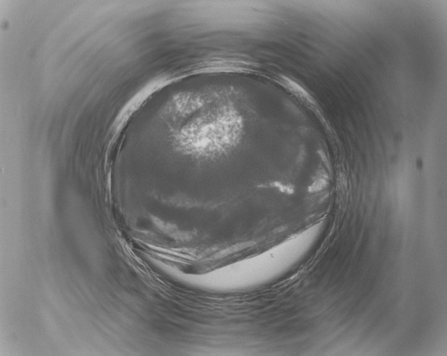 X0000052631419200507292228