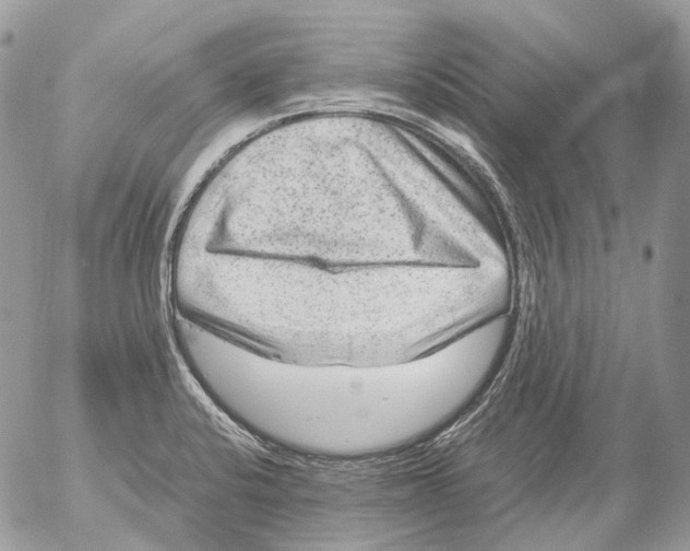 X0000052631424200507292228