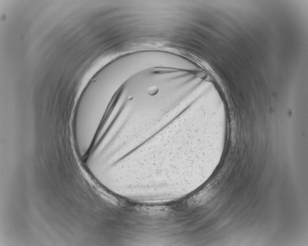 X0000052631432200507292229