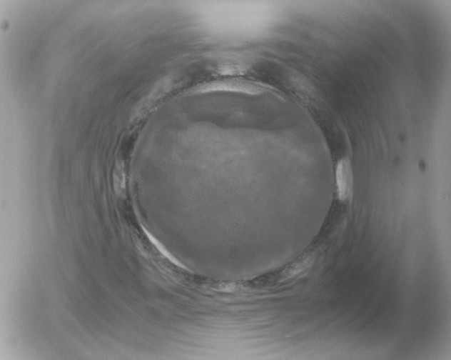 X0000052631443200507292228