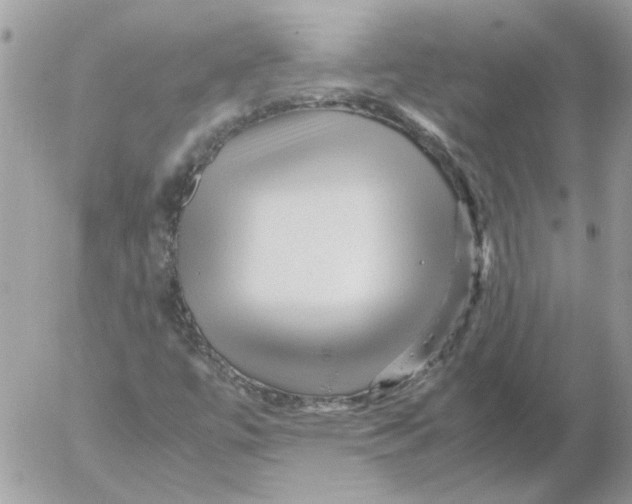 X0000052631447200507292228