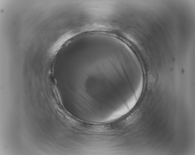 X0000052631455200507292228