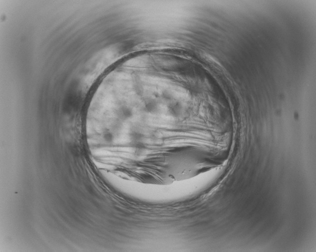 X0000052631457200507292228