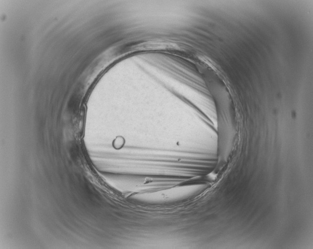 X0000052631465200507292227