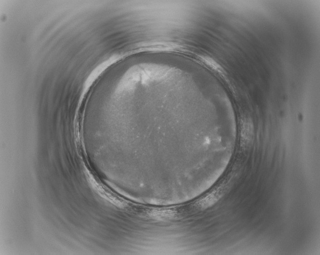 X0000052631466200507292227