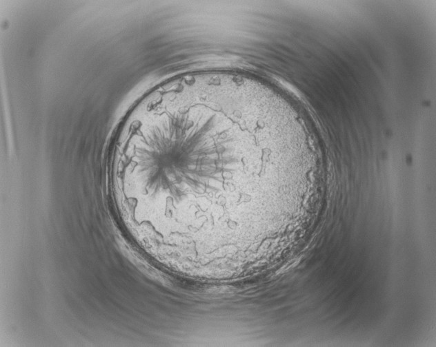 X0000052631467200507292227