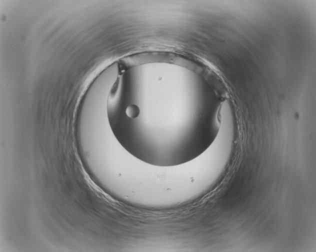 X0000052631471200507292227