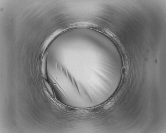 X0000052631473200507292227
