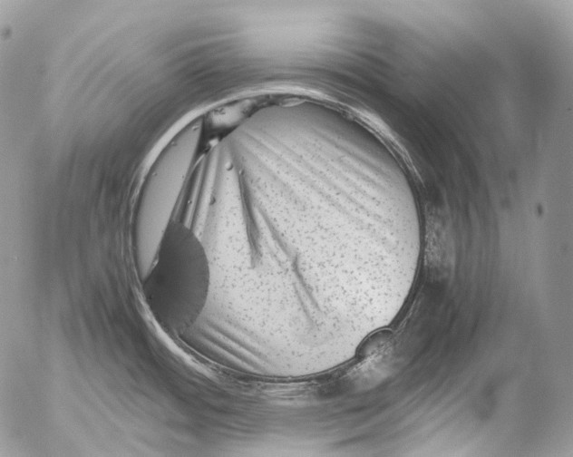 X0000052631484200507292227