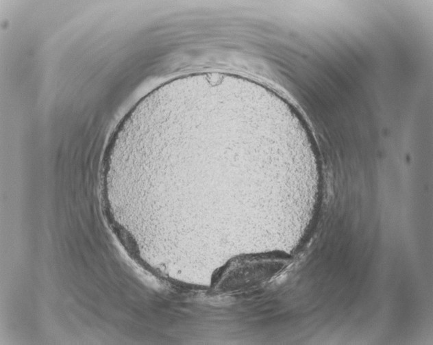 X0000052631525200507292227