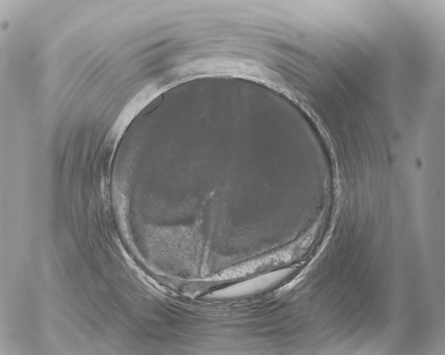 X0000052631529200507292227