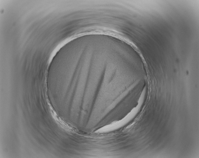 X0000052631530200507292227