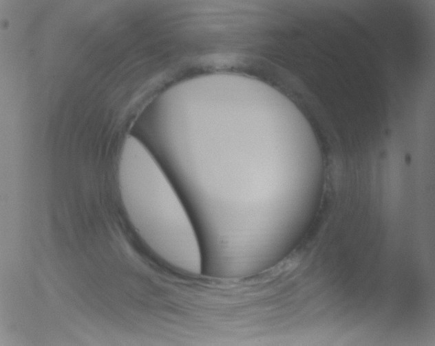 X0000052640024200507011019
