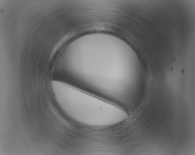 X0000052640112200507011017