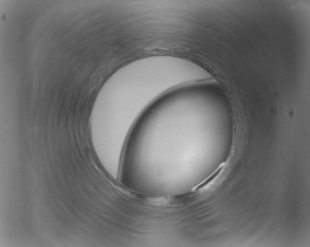 X0000052640192200507011017