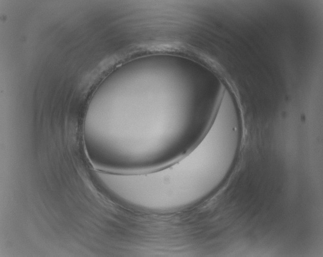 X0000052640201200507011016