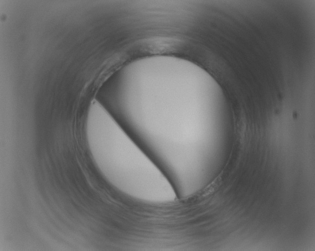 X0000052640214200507011016