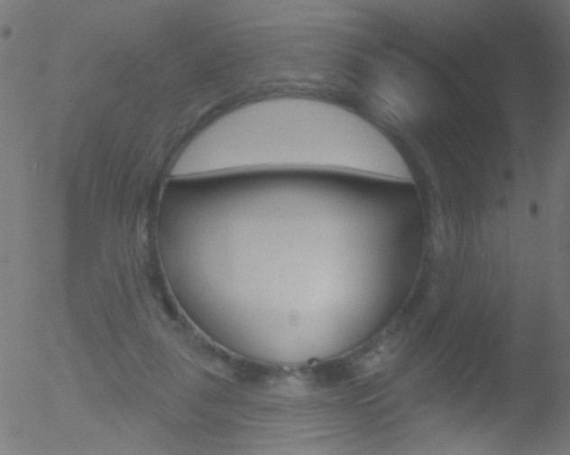 X0000052640259200507011015
