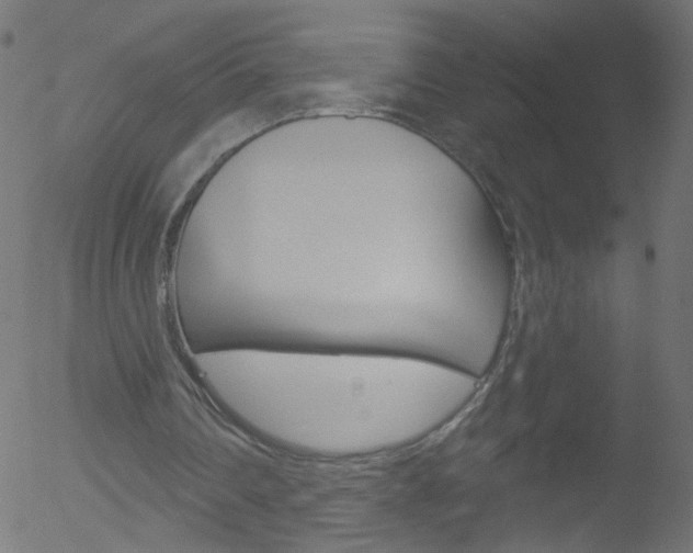 X0000052640290200507011015