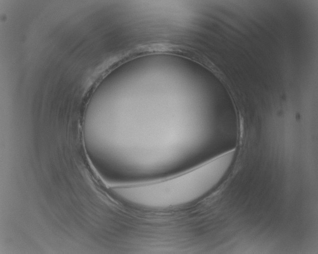 X0000052640301200507011014