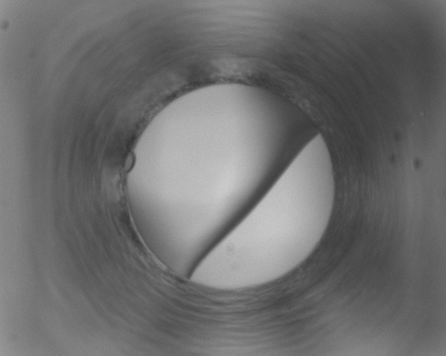 X0000052640514200507011011