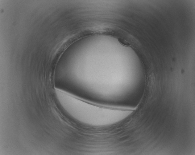 X0000052640596200507011009