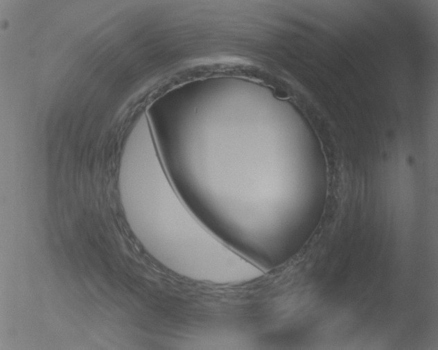 X0000052640967200507011003