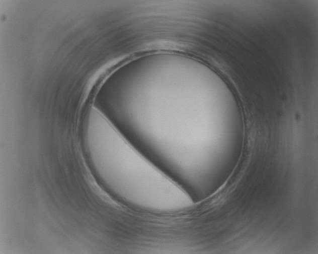X0000052640987200507011003