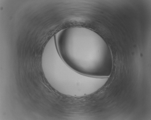 X0000052641061200507011002