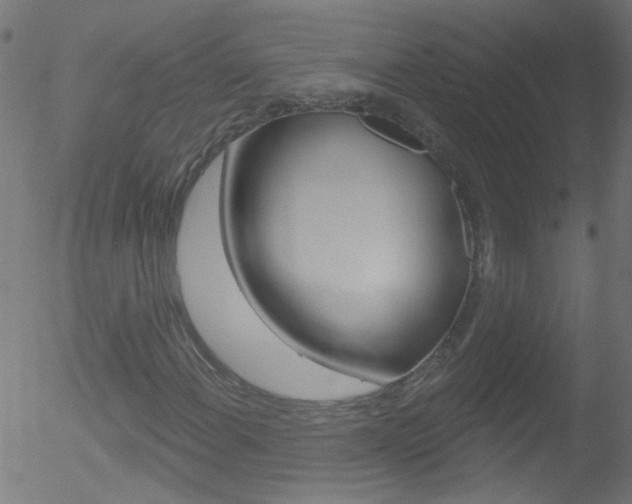 X0000052641108200507011000