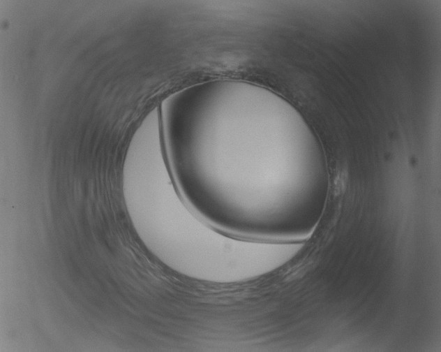 X0000052641156200507011000