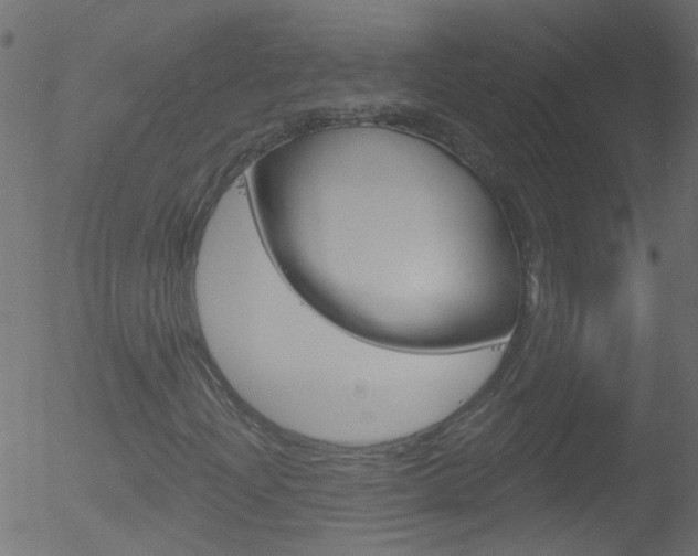 X0000052641204200507010959