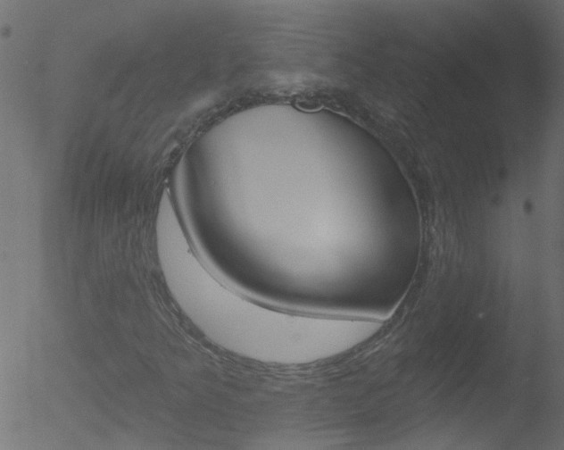 X0000052641349200507010957